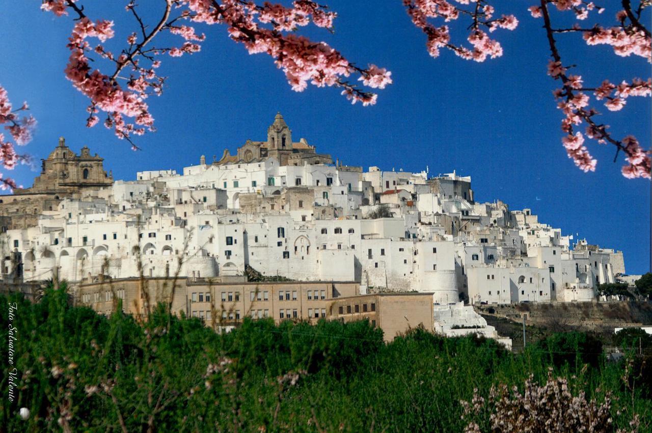 Casa Carlotta Villa Ostuni Dış mekan fotoğraf